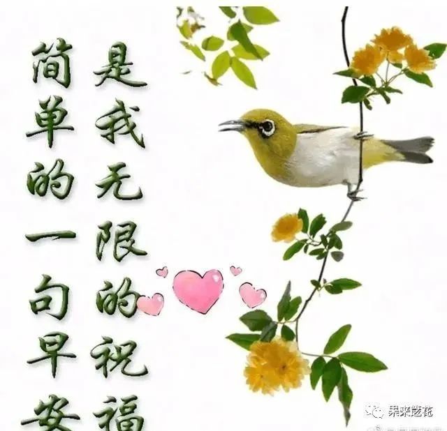 正月二十早晨最美的祝福温馨语句，2021早上好文字祝福语图片