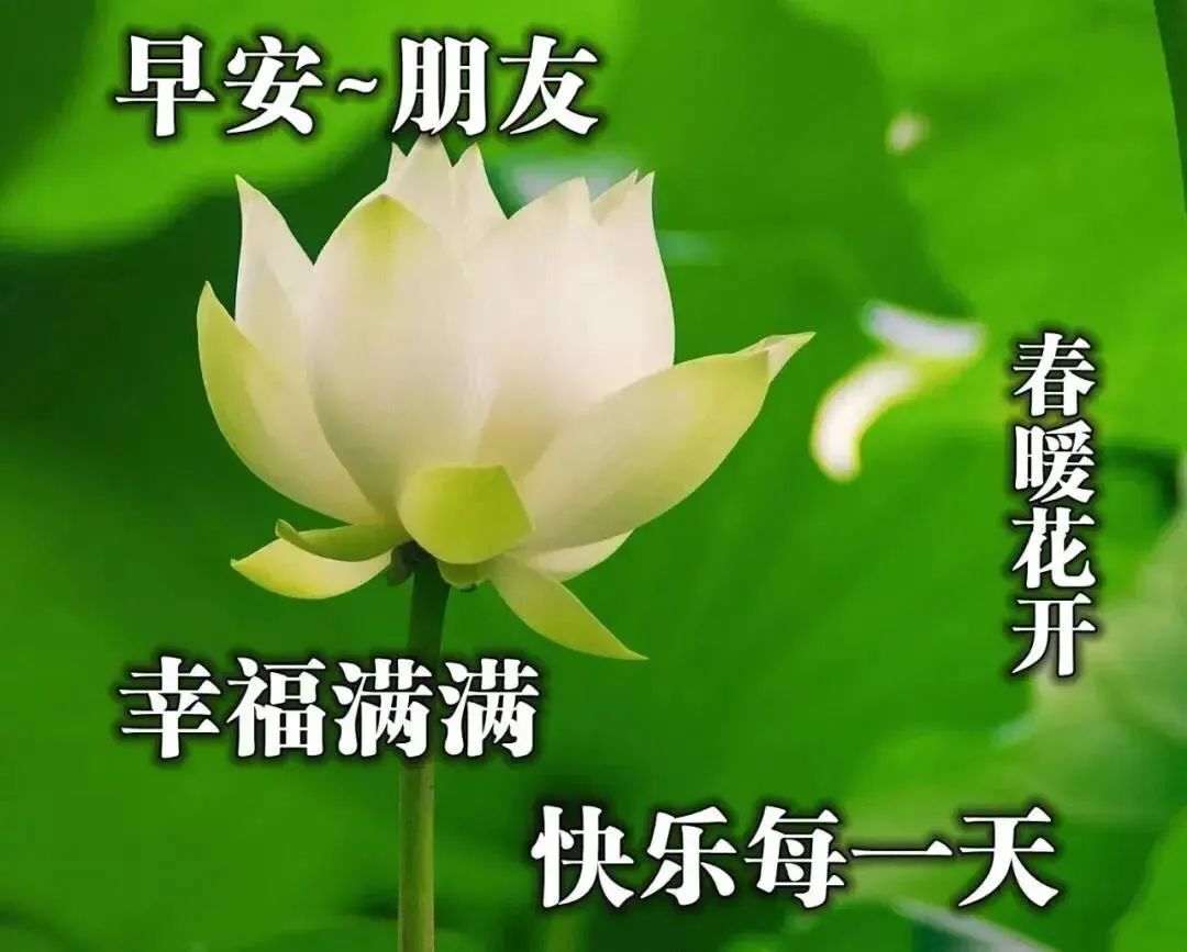 阳春三月新的一天暖心早上好问候语句，早安祝福语动态图片表情带字