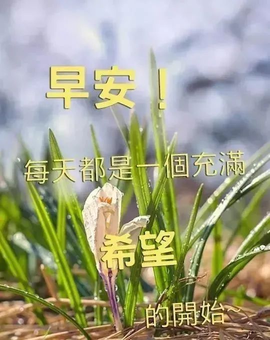 朋友圈最新暖心的早安祝福语句，春天早上暖心问候祝福短信句子