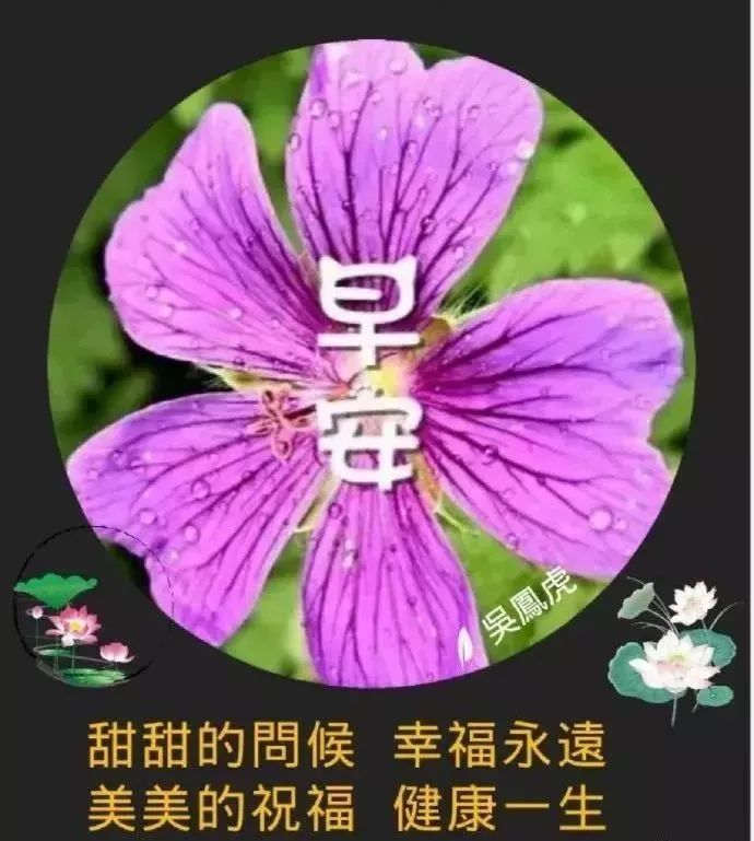 朋友圈最新暖心的早安祝福语句，春天早上暖心问候祝福短信句子