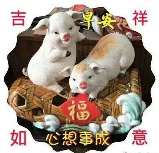 朋友圈最新暖心的早安祝福语句，春天早上暖心问候祝福短信句子