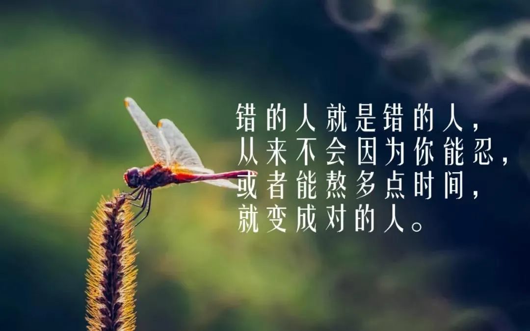 适合发朋友圈的人生感悟哲理语句，字字经典透彻，句句感悟颇深