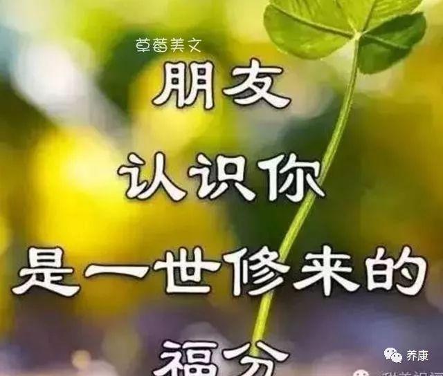 感恩知己的句子(写给知己的句子的短句)