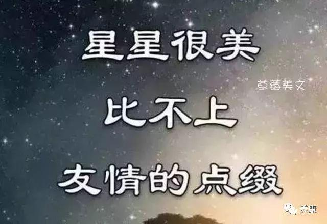 感恩知己的句子(写给知己的句子的短句)