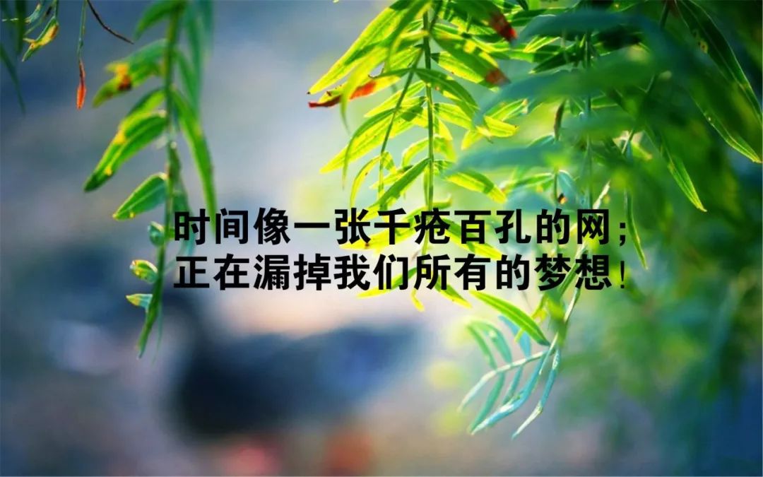 句子短句经典语录_(伤感句子)