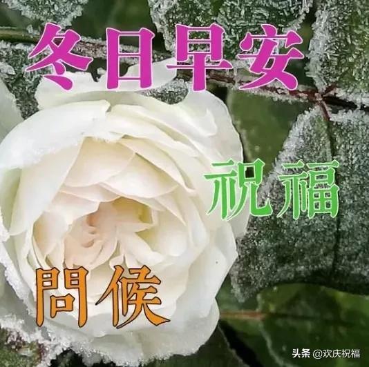 感恩遇见朋友的句子(感恩生命中遇到的朋友的句子)