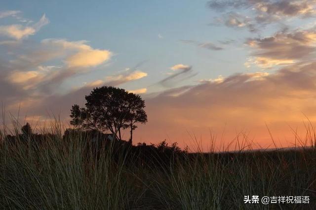 正能量努力奋斗的句子晚安_(晚安心语正能量句子)