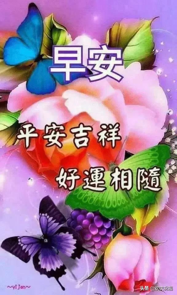 懂得感恩珍惜的句子(关于珍惜感恩和爱的句子)