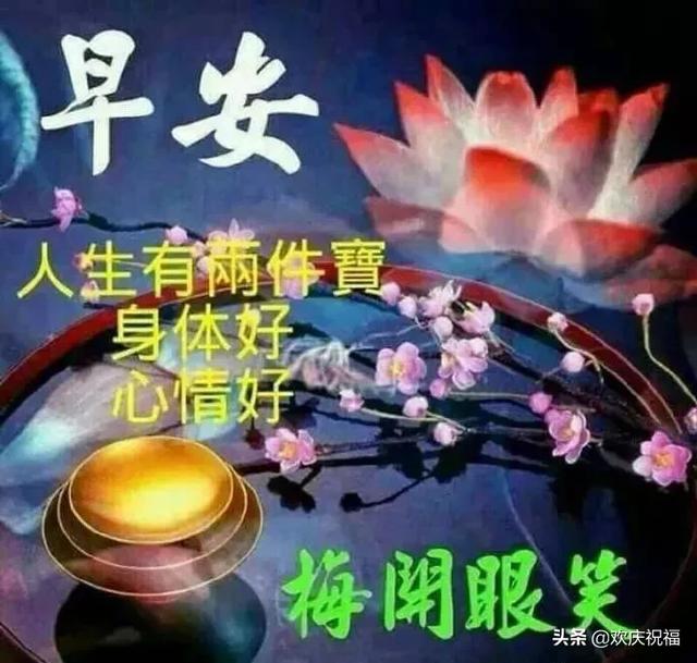 懂得感恩珍惜的句子(关于珍惜感恩和爱的句子)