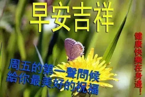 2021最新祝福问候朋友早上好句子精选，早安祝福动态表情图片