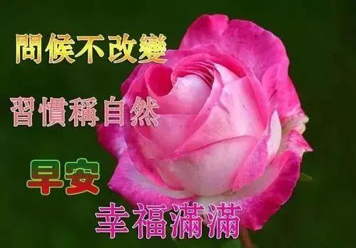 2021最新祝福问候朋友早上好句子精选，早安祝福动态表情图片