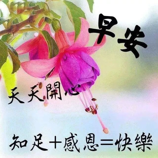 2021最新祝福问候朋友早上好句子精选，早安祝福动态表情图片