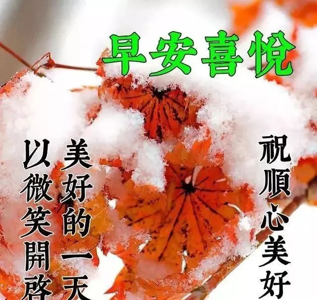 3月1日最新早上问候大家的暖心祝福语句，3月最美的早安动态祝福图片