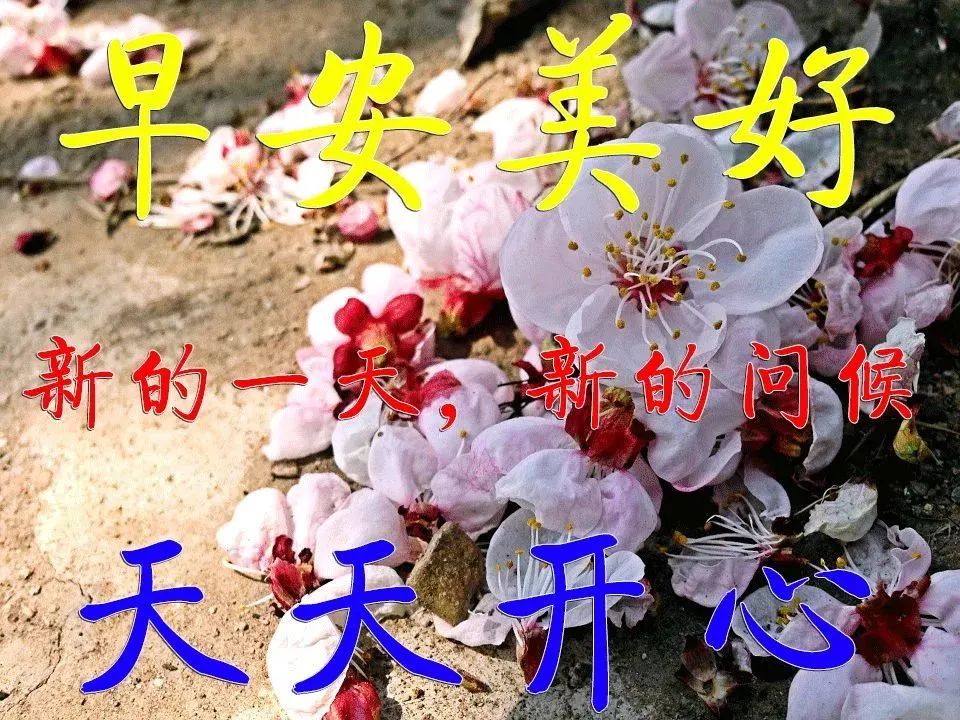 3月1日最新早上问候大家的暖心祝福语句，3月最美的早安动态祝福图片