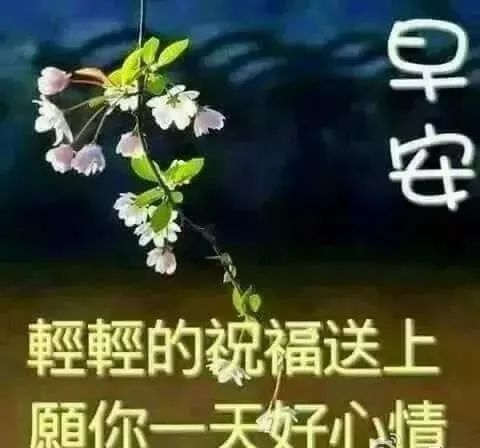 3月1日最新早上问候大家的暖心祝福语句，3月最美的早安动态祝福图片