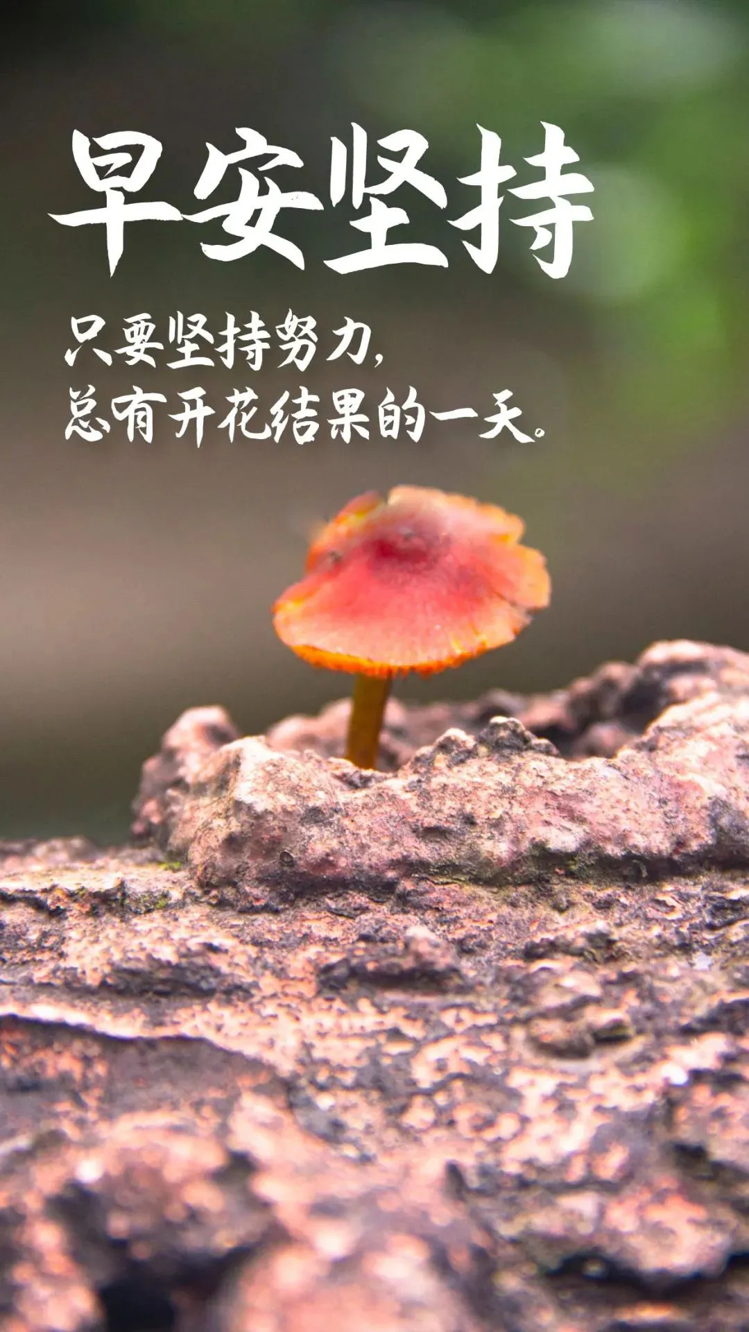 早晨正能量激励人的句子早上好励志奋斗说说