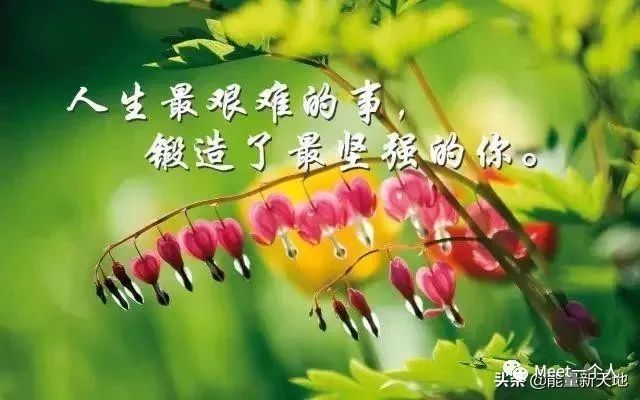 激励人奋斗的霸气句子，百看不厌，句句正能量