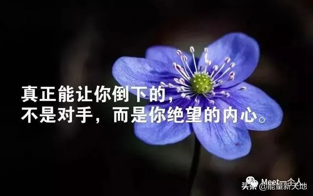 激励人奋斗的霸气句子，百看不厌，句句正能量