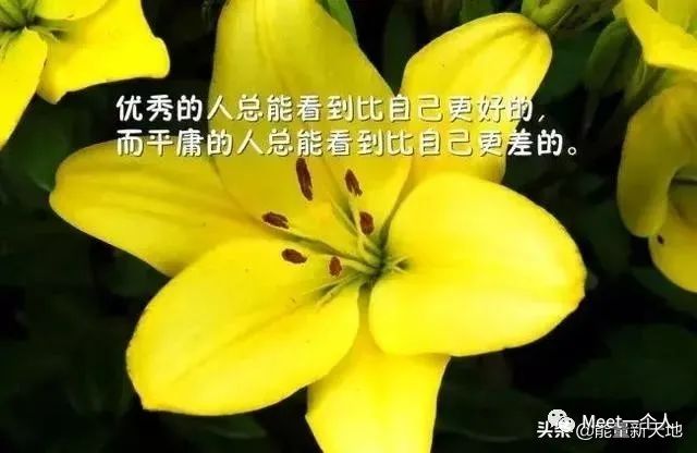 激励人奋斗的霸气句子，百看不厌，句句正能量