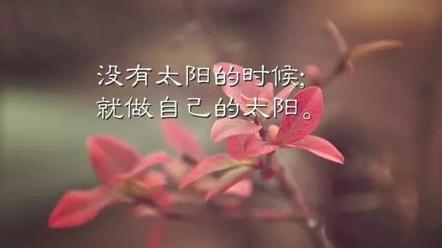 致自己奋斗的句子，总有一句话激励到你的！