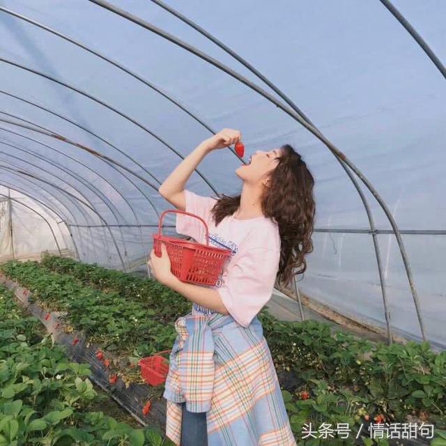 撩女生的高级土味情话(最强撩妹情话)