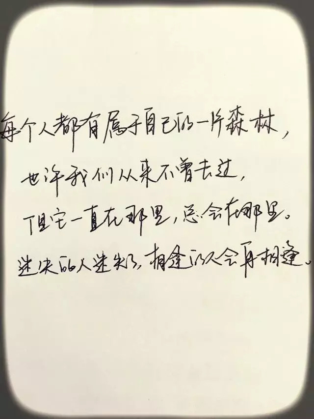 情书50字(情书50字给女的写)