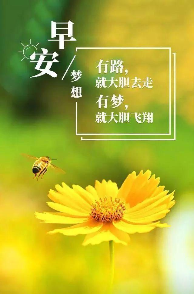 正能量的句子爱情句子(正能量今日感悟的句子)