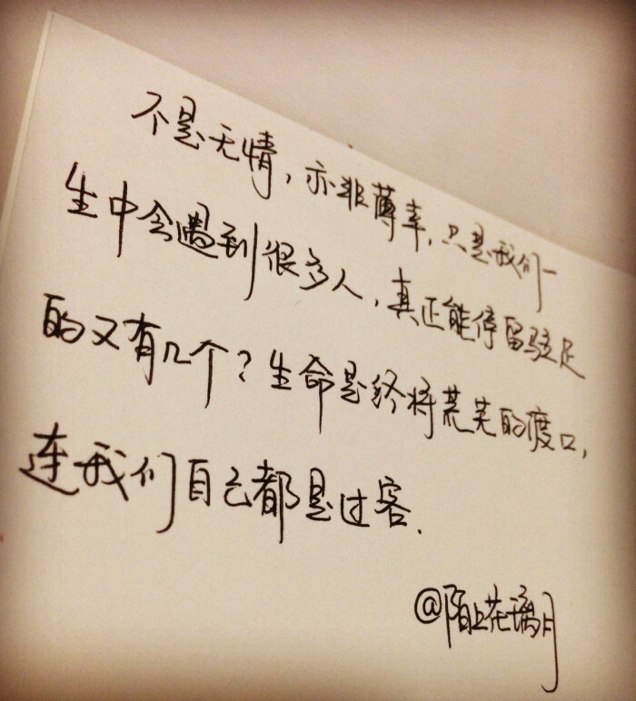 赞美爱情的句子(爱情的唯美句子)