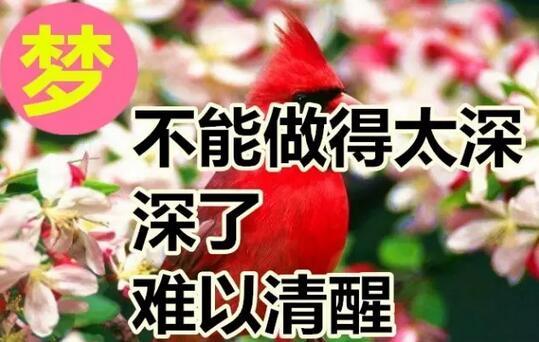 祝别人幸福的句子(祝别人99的句子)