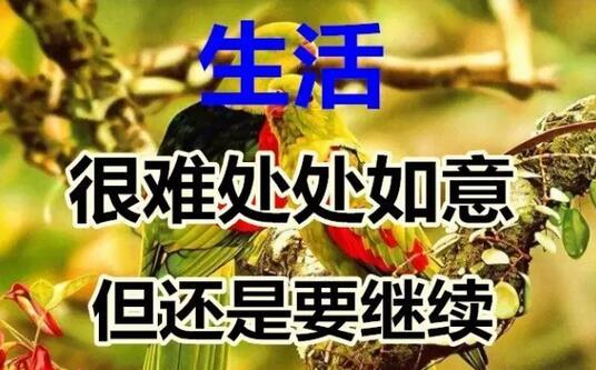 祝别人幸福的句子(祝别人99的句子)