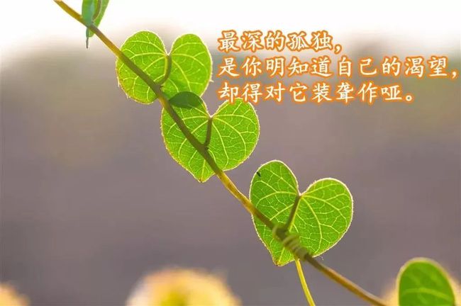 幸福的感悟经典句子说说心情【夫妻幸福感悟的句子说说心情短语】