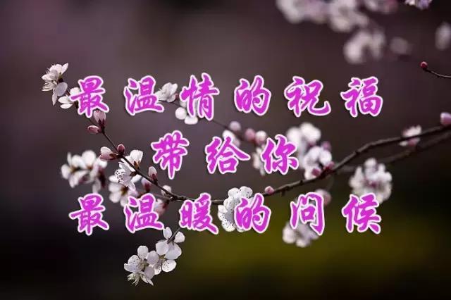 祝福姐妹幸福的句子(姐妹生活幸福的唯美句子)