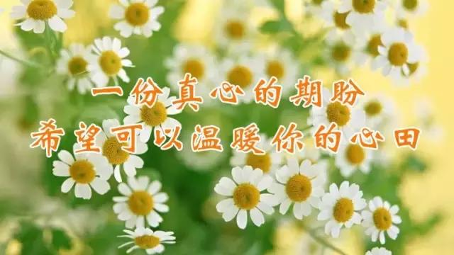 祝福姐妹幸福的句子(姐妹生活幸福的唯美句子)