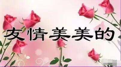 祝福姐妹幸福的句子(姐妹生活幸福的唯美句子)