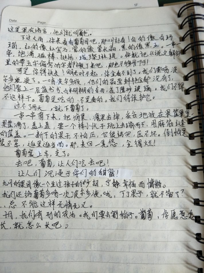 好句子摘抄10字_(好词好句大全短一点)