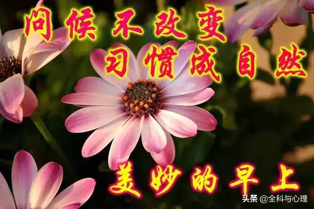 早安游泳心语温馨句子(早安短句)