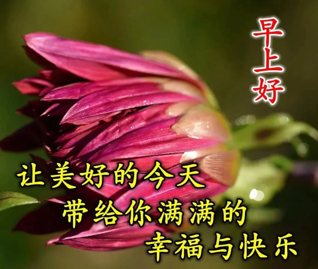 4月11日周未早晨温馨的早安祝福语句，微信早上漂亮的问候表情图片