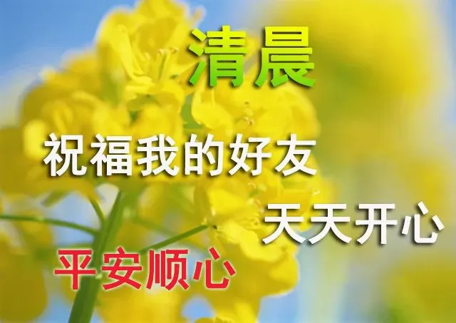 4月11日周未早晨温馨的早安祝福语句，微信早上漂亮的问候表情图片