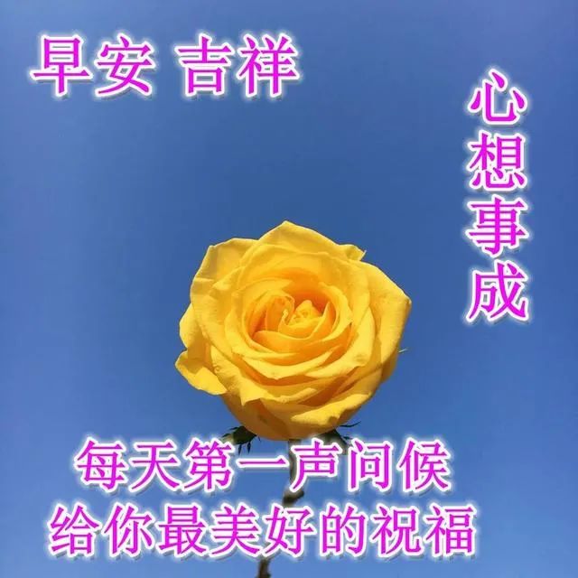 4月11日周未早晨温馨的早安祝福语句，微信早上漂亮的问候表情图片