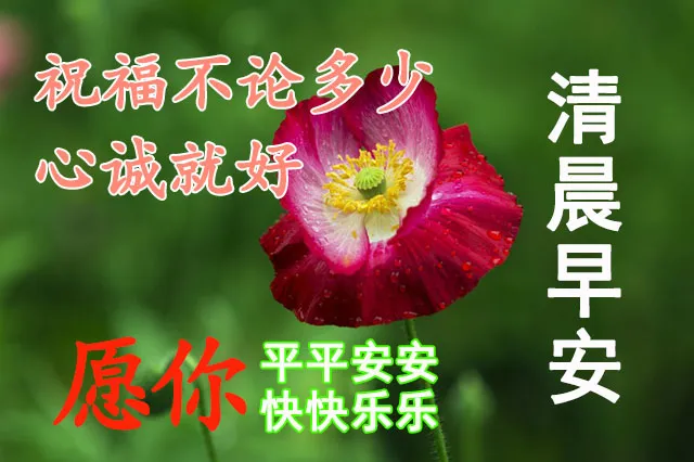 4月11日周未早晨温馨的早安祝福语句，微信早上漂亮的问候表情图片