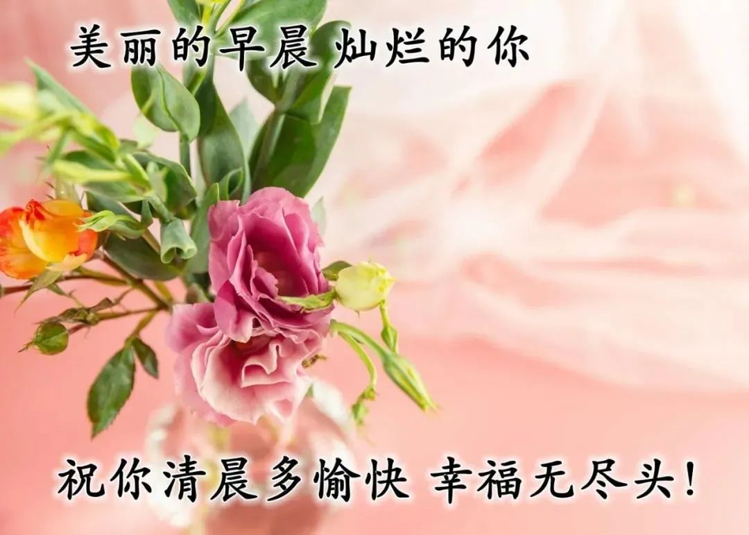 微信最美早上好祝福语，问候早安的温馨语句带漂亮早安图片