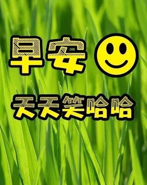 清晨早上好问候语温馨句子，2021最好看早上好图片大全