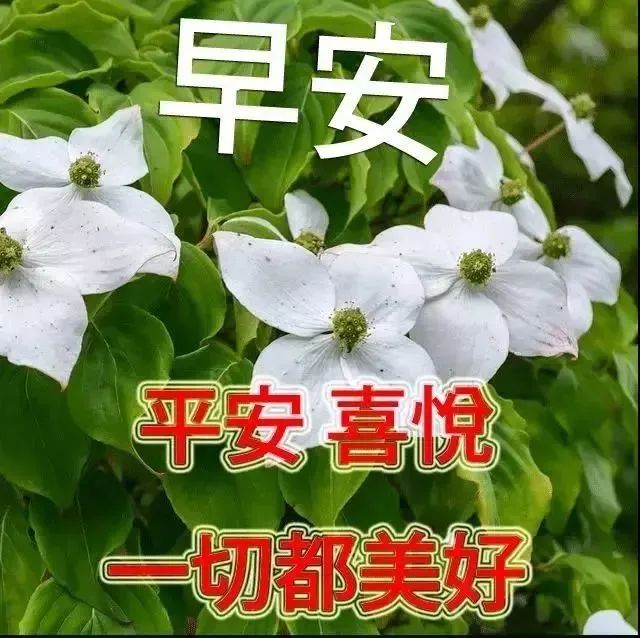 清晨早上好问候语温馨句子，2021最好看早上好图片大全