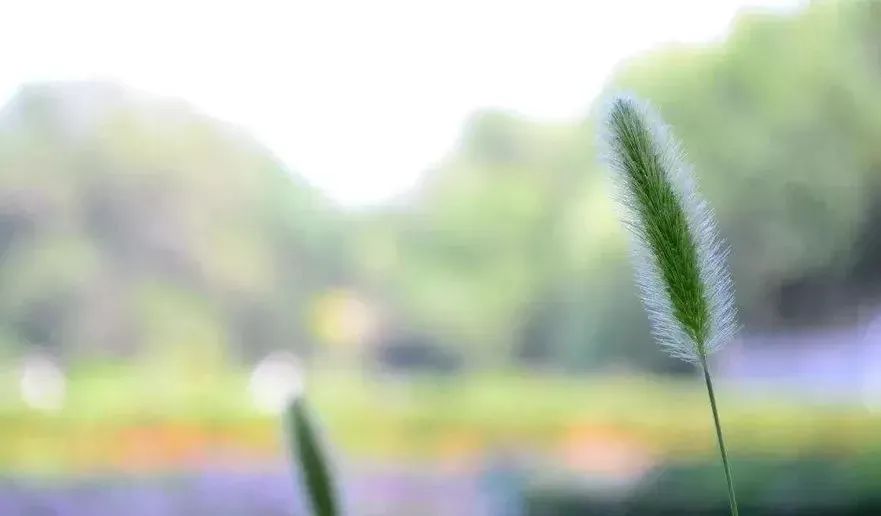 晚安最美的心情说说温馨晚安心语感悟人生的句子简短