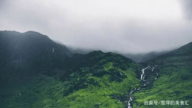 晚安心语温馨的句子，句句铿锵，让人心动