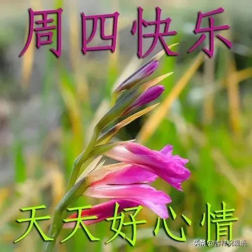 幸福是一种感觉的句子(幸福的生活状态的说说)