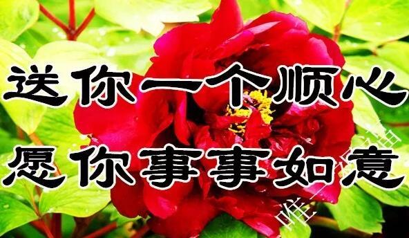 希望对方幸福的句子(分手后祝愿对方过得好的话)