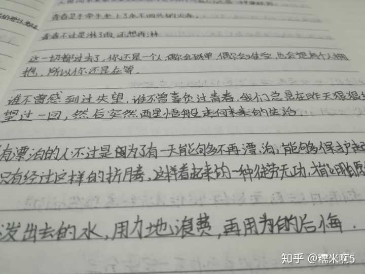 一些书中的好句子摘抄_(名著好句摘抄100个字)