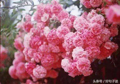 有伤感句子的图片 有伤感句子的图片