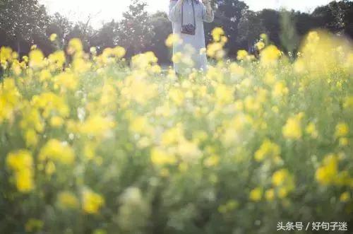 有伤感句子的图片 有伤感句子的图片